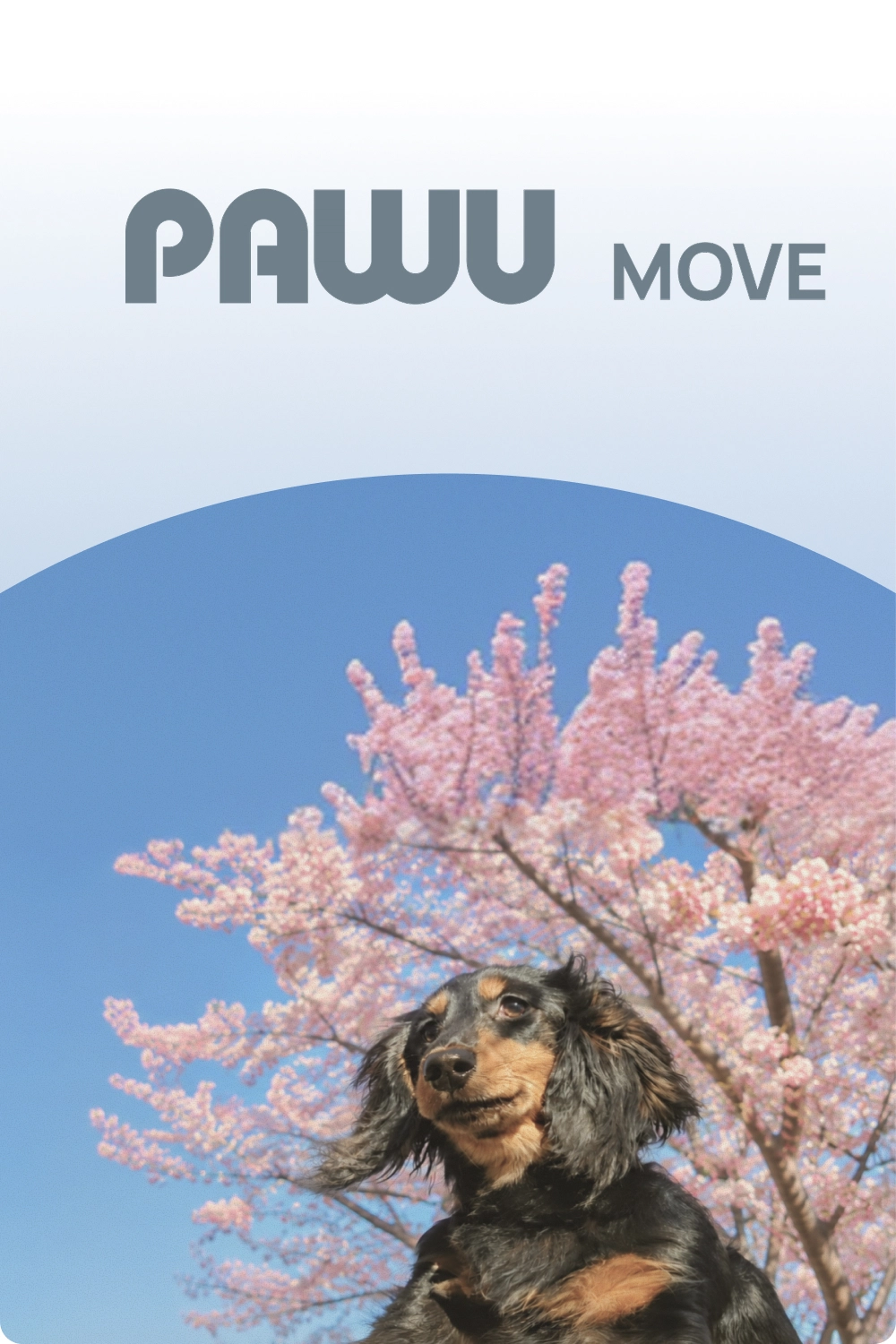 PAWU Move